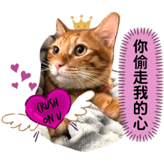 King Cat Bubu 7.0 Happy V-Day