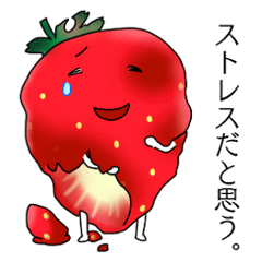 strawberry worker6