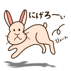 the funny rabbit "nusagi"