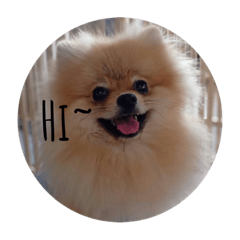 James_20210203201526