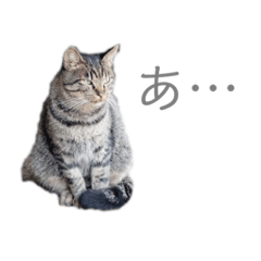 ykyk_20210204103746