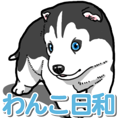 わんこ日和 シベリアンハスキーの仔犬3