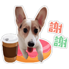 甄money小公主