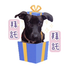 羅八寶