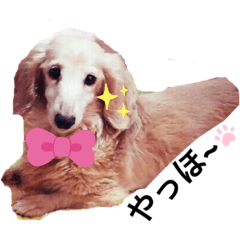 TiaCame_20210204123537