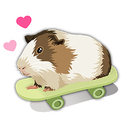 Cute guinea pig(without words)