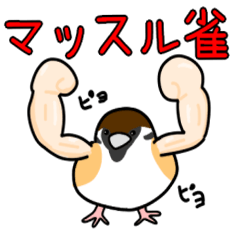 Muscle sparrow