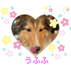 Yukorin_20210204155824