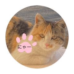 NATSUMI_20210204223801