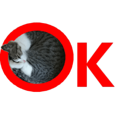 猫のＪ君スタンプVol.3