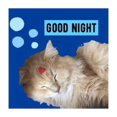 hikari_20210205000657