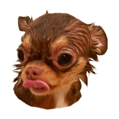 Saori_20210205024913