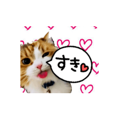 yuka_20210204213728