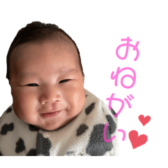 yun_20210204234711