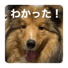 50yen_20210204231214