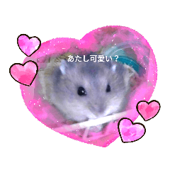 Hana_20210205090205