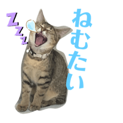 yuka_20210205093309