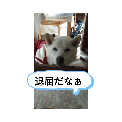 mimi_20210204224039