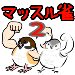 Muscle sparrow2