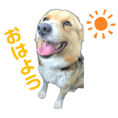 Mizuki_20210205105053