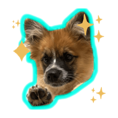 ARISA_20210204190019