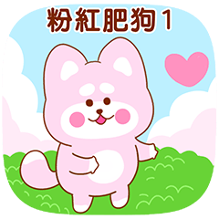 TW Pink chubby Shiba Dog Daily Life