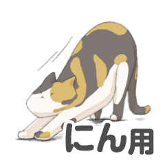 tortoiseshell cat's sticker for Nin