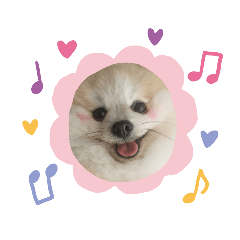 Brownie ss2 – LINE stickers | LINE STORE