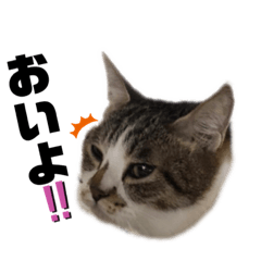 ooooioooo_20210204225249