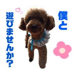 AYUMI_20210205133422