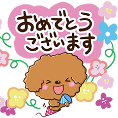 Toy poodle and flowers