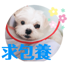 傅樂樂