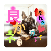 kumayuka_20210205184256