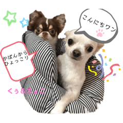 natsumi_20210205214421