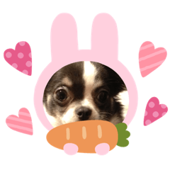 HARUNA_20210206095514