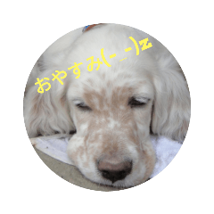 hana_20210205202459