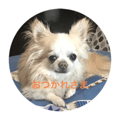 JUNKO_20210205231554