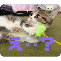 kaho_20210205233453