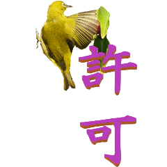 Chinese characters From White-eye-BIG
