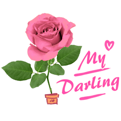 Romantic rose for my lover _E3