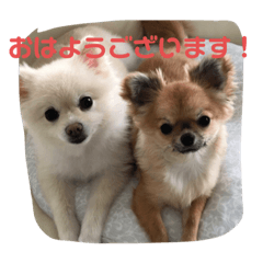 CHIROMOKA