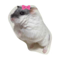 akiko_20210206092705