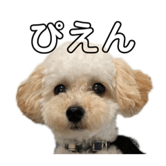 Mizuki_20210206121728