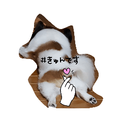 konohana-sakuya_20210206092521