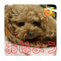 Hikari_20210206120443