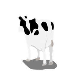 mocomoco moving cow