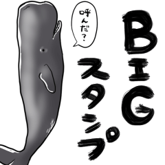 talking whale big