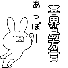 BIG Dialect rabbit[kikaijima]