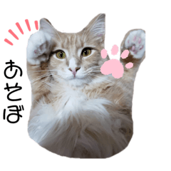 hikari_20210206164217