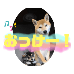 Hana_20210206171721